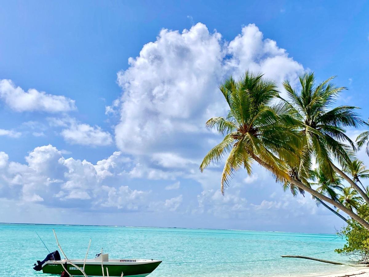Alimas Holiday Retreat Maldives Felidhoo Dış mekan fotoğraf