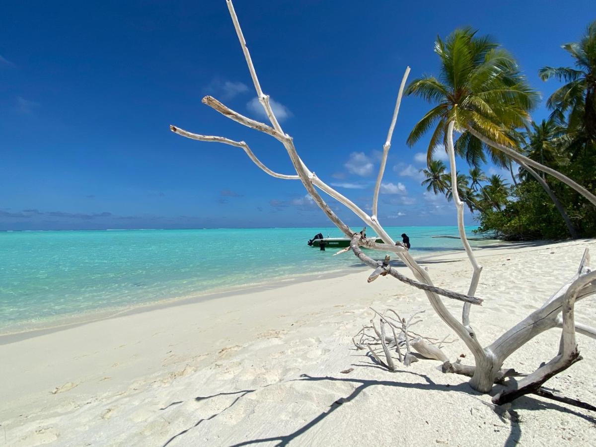 Alimas Holiday Retreat Maldives Felidhoo Dış mekan fotoğraf