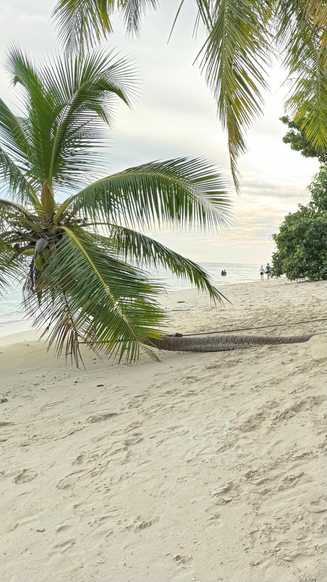 Alimas Holiday Retreat Maldives Felidhoo Dış mekan fotoğraf